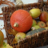 Apple Day 2016 - Gauds and pumpkins